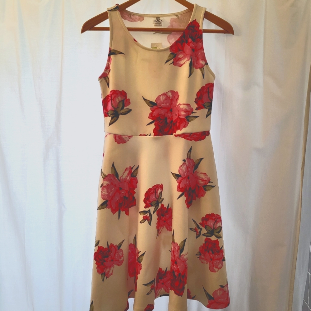 Spring/Summer dress 👗🌺
